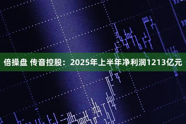 倍操盘 传音控股：2025年上半年净利润1213亿元