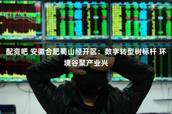 配资吧 安徽合肥蜀山经开区：数字转型树标杆 环境谷聚产业兴
