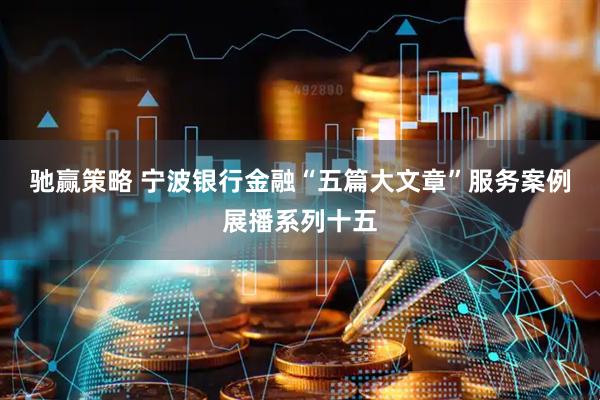 驰赢策略 宁波银行金融“五篇大文章”服务案例展播系列十五